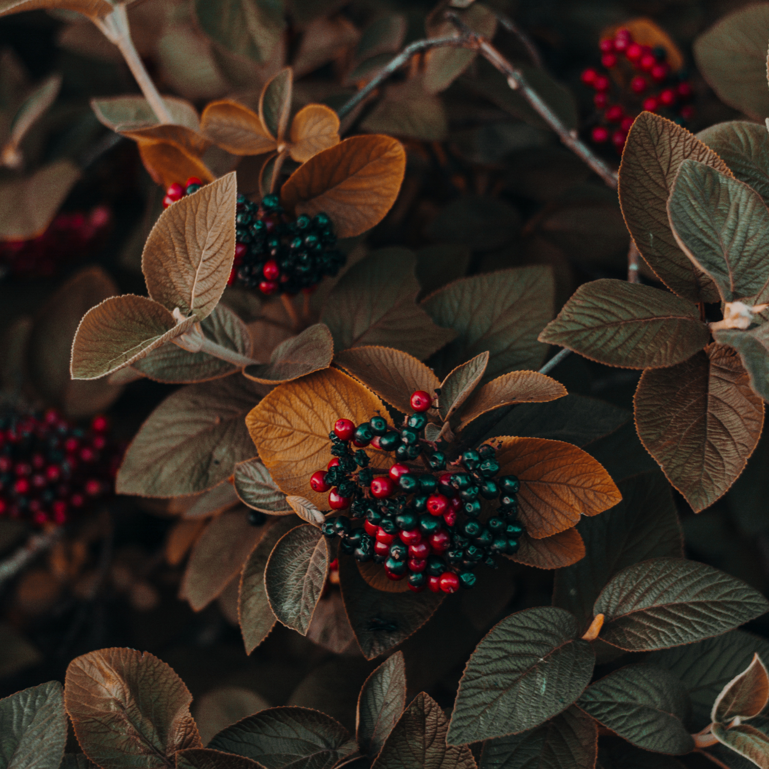 Se-alla-produkter FOAM Accessories