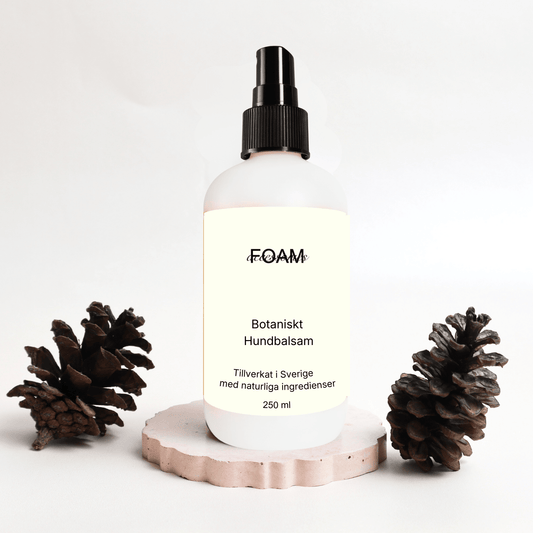 Botaniskt hundbalsam