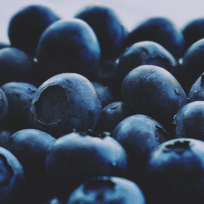 Blueberry oil