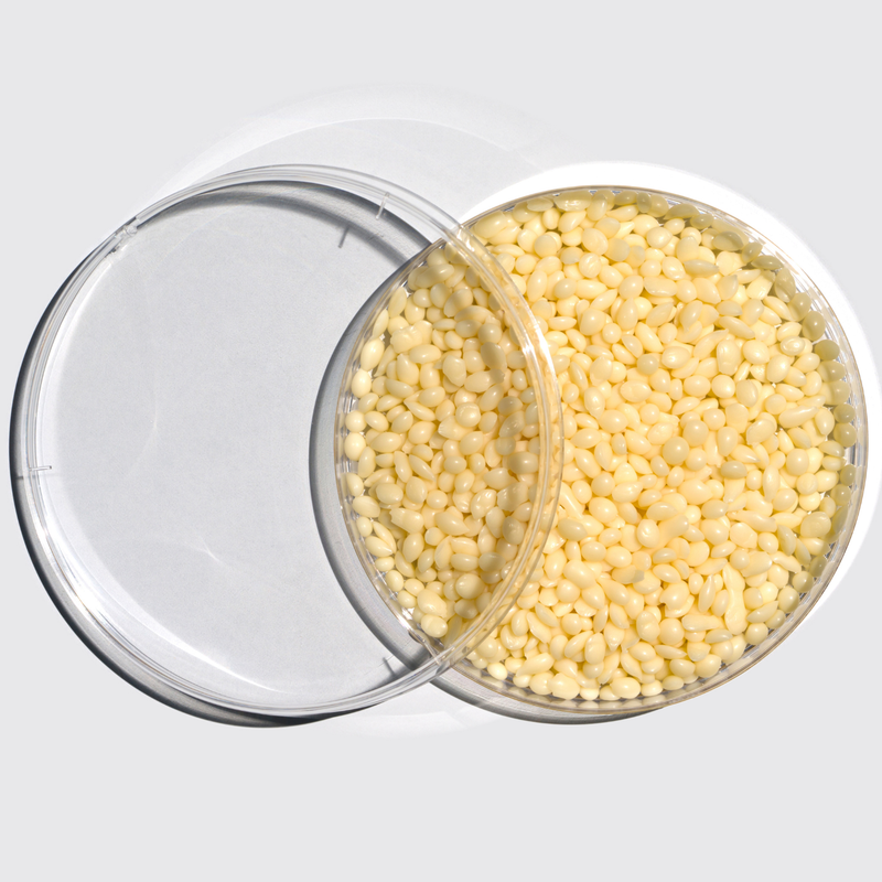 Candelilla wax
